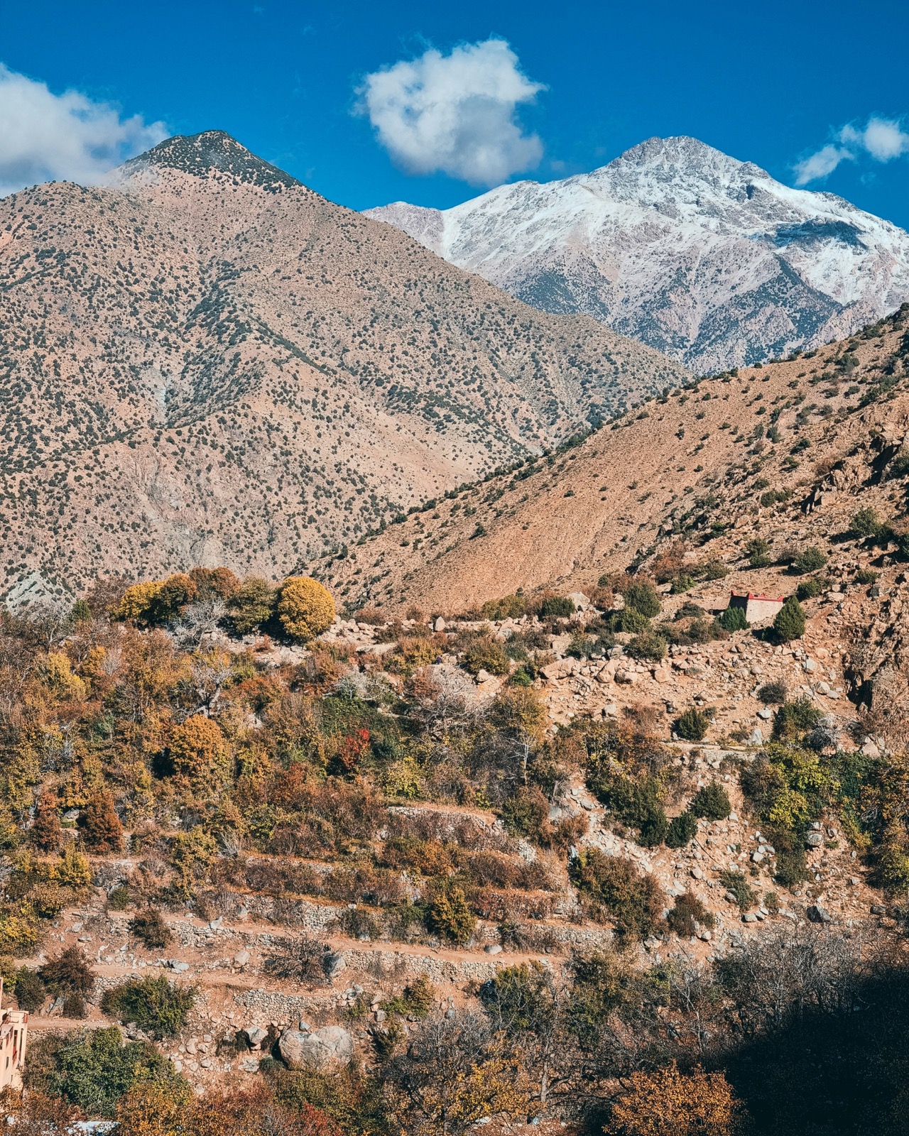 Atlas Mountains